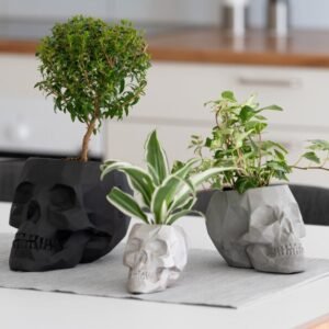 Dödskalle Blomkruka