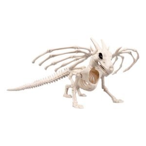 Djurskelett Drake Prop