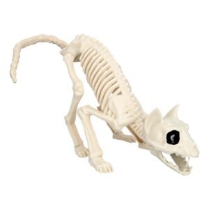Djurskelett Katt Prop