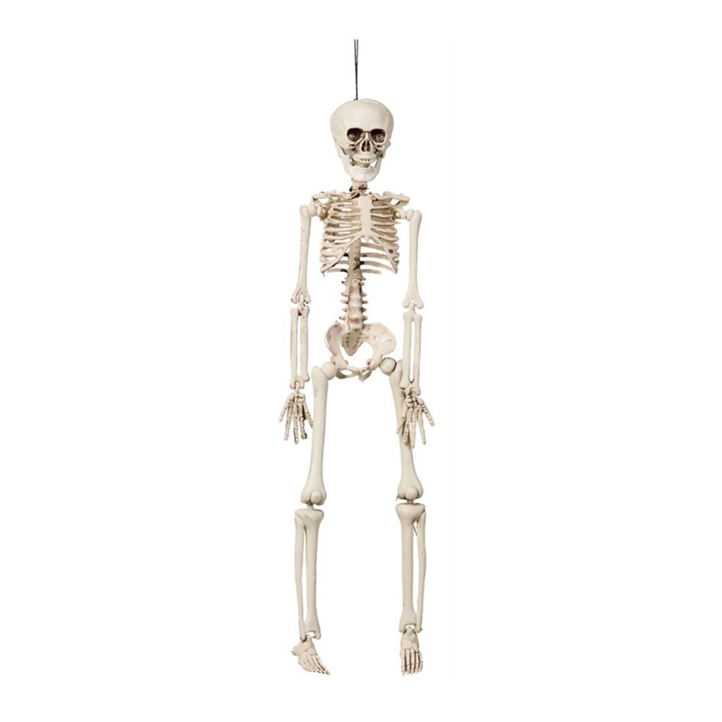 Hängande Böjbart Skelett Prop