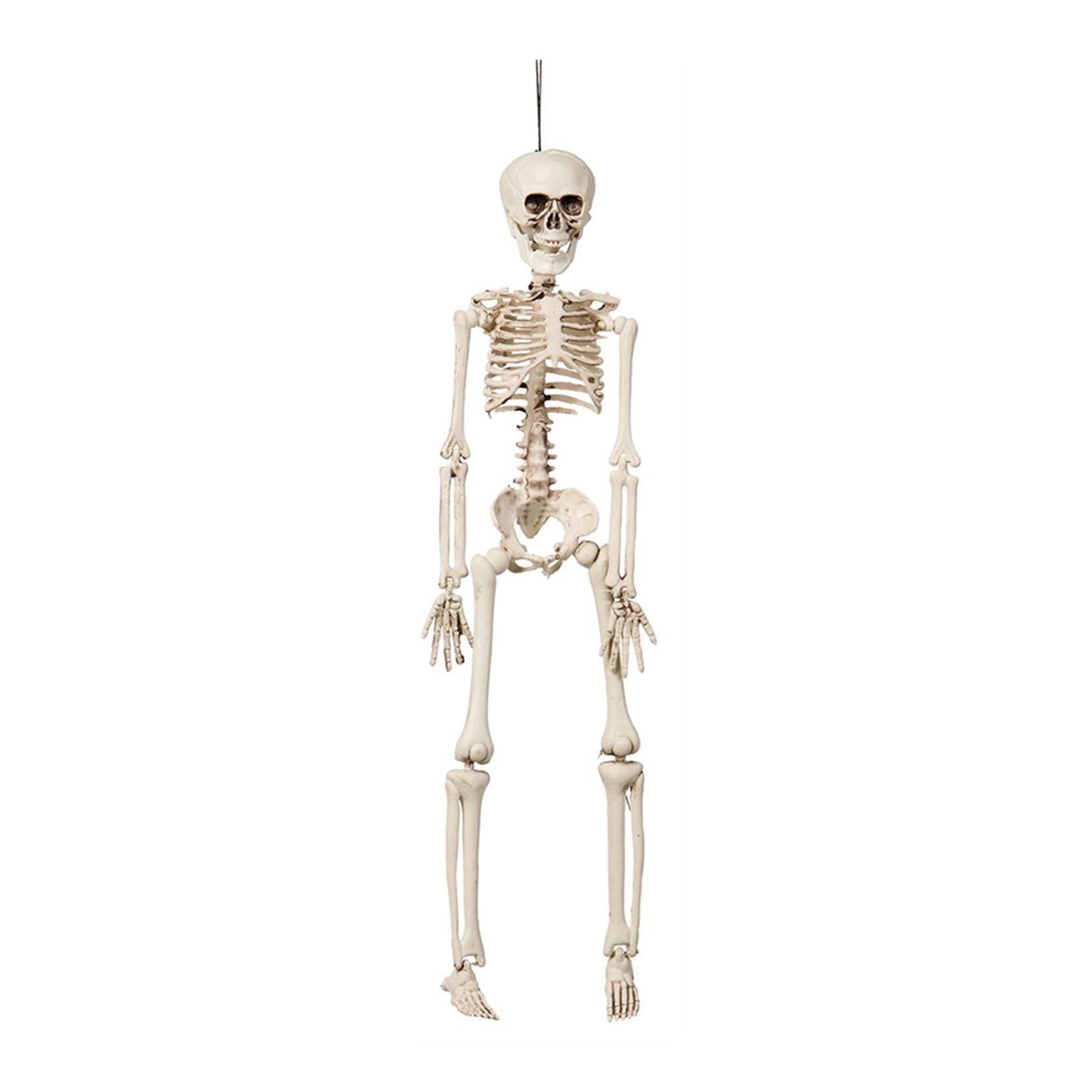 Hängande Böjbart Skelett Prop