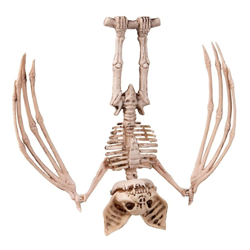 Hängande Skelettfladdermus Prop