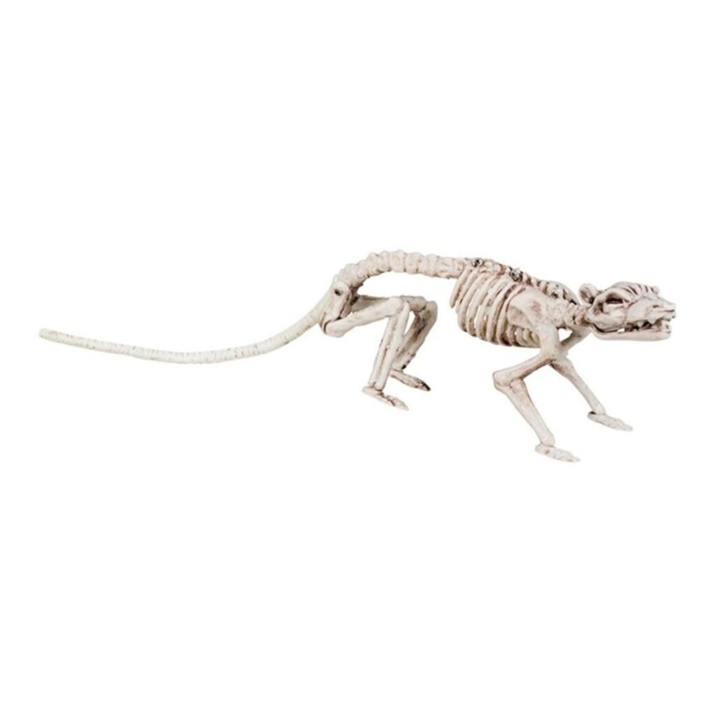 Råtta Skelett Prop